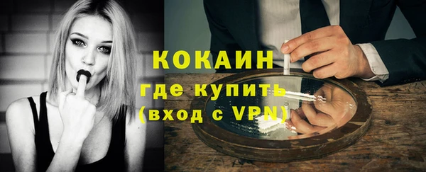 стаф Новодвинск