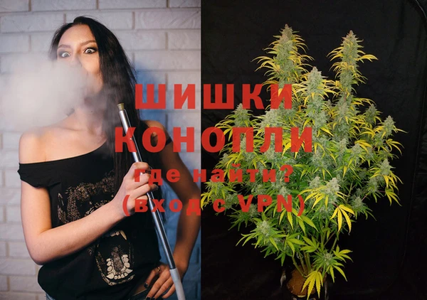 стаф Новодвинск