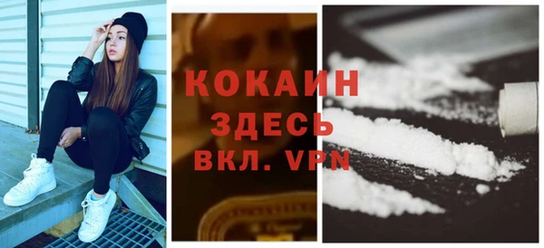 стаф Новодвинск