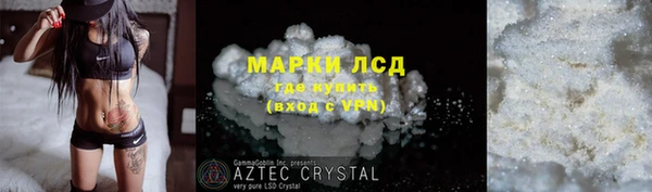 стаф Новодвинск