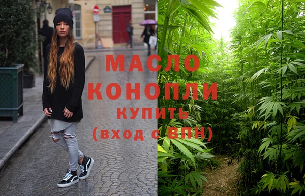 стаф Новодвинск