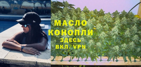 стаф Новодвинск