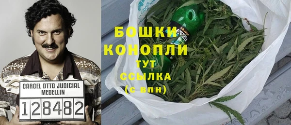 стаф Новодвинск