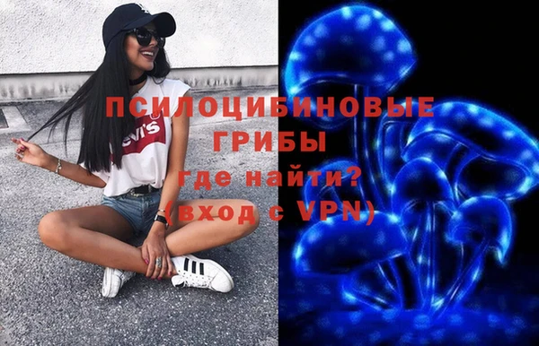 мяу мяу мука Новозыбков