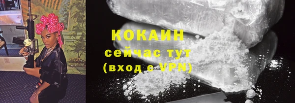 стаф Новодвинск