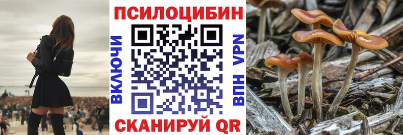 Псилоцибиновые грибы мухоморы mega ONION Циолковский как найти закладки
